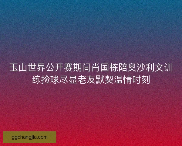 玉山世界公开赛期间肖国栋陪奥沙利文训练捡球尽显老友默契温情时刻